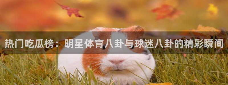 最新黑料完整时间线