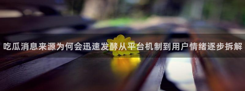职场黑料后续进展