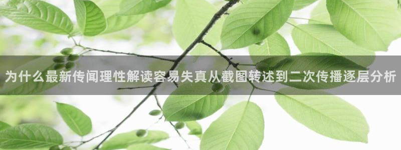 网络黑料真伪核验