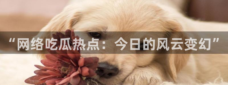 黑料吃瓜真伪核验