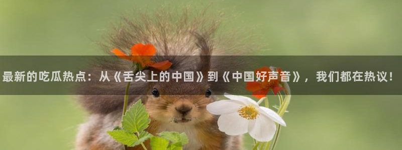 明星黑料真伪核验