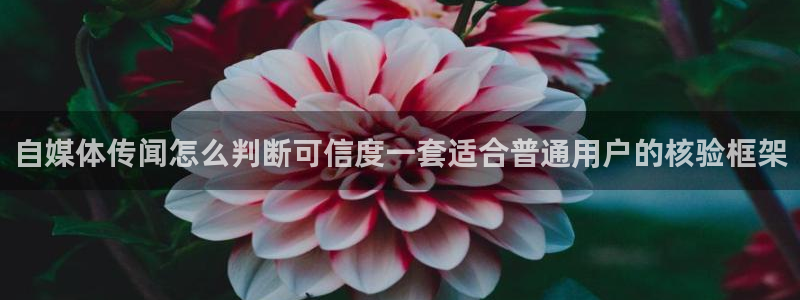 独家黑料事件始末