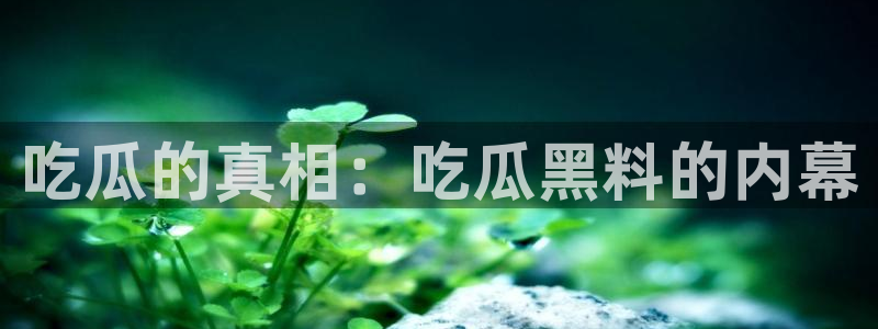 独家黑料