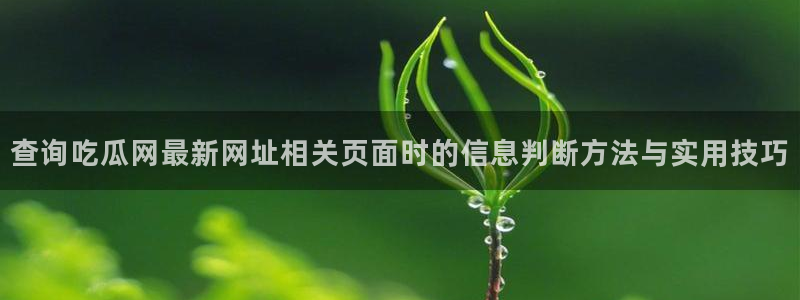 职场黑料最新消息